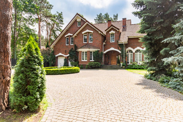 Best Driveway Paving Contractor  in Warner Robins, GA